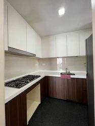 Riversound Residence (D19), Condominium #618921491